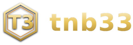tnb33 logo